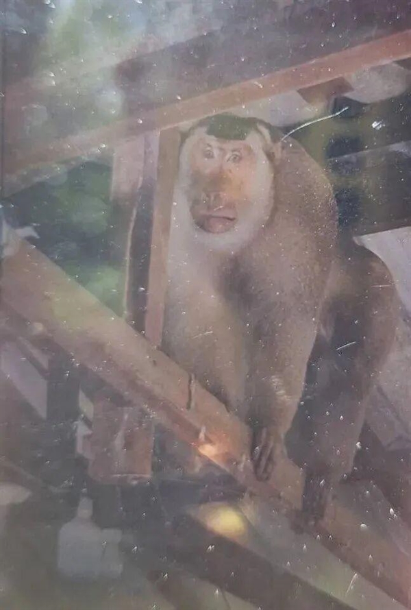 ̩63˼Ұ⨺﹥ҧʮڲ