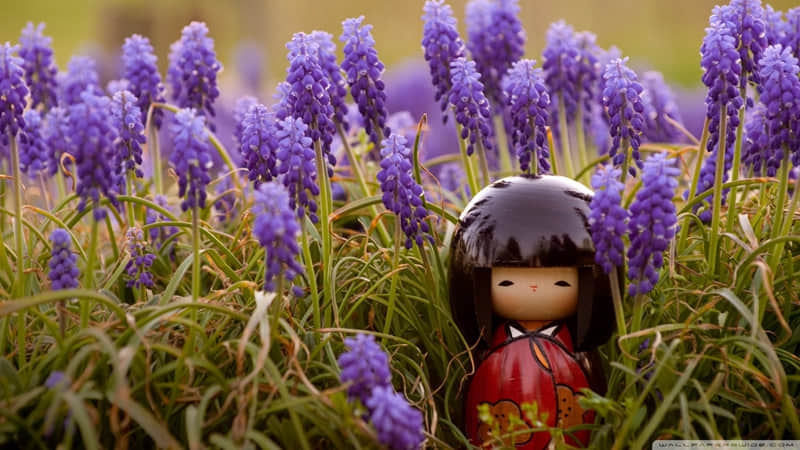 “宝,你越幽默,他越上头”_wishdown.com “宝,你越幽默,他越上头”_wishdown.com