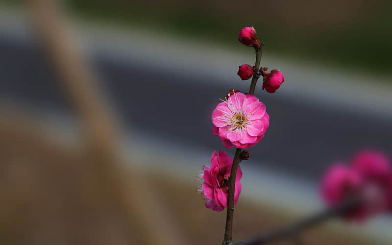 “宝,你越幽默,他越上头”_wishdown.com “宝,你越幽默,他越上头”_wishdown.com