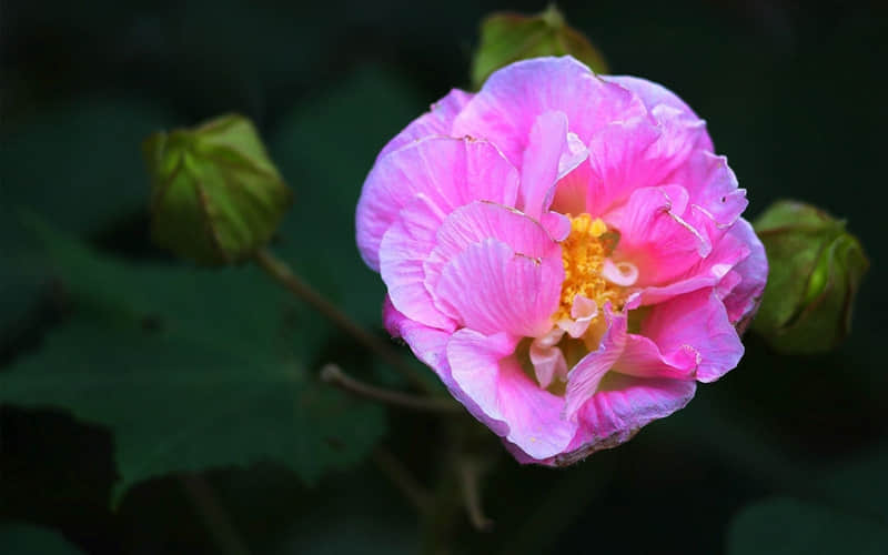 “这样发圈,好有感觉噢”_wishdown.com “这样发圈,好有感觉噢”_wishdown.com