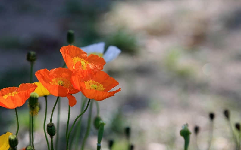 “这样发圈,好有感觉噢”_wishdown.com “这样发圈,好有感觉噢”_wishdown.com