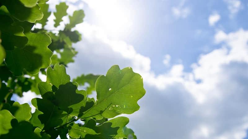 “这样发圈,好有感觉噢”_wishdown.com “这样发圈,好有感觉噢”_wishdown.com