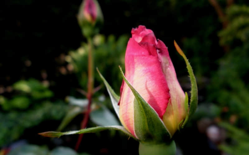 “这样发圈,好有感觉噢”_wishdown.com “这样发圈,好有感觉噢”_wishdown.com