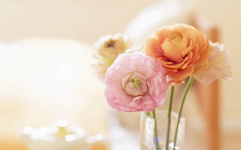 突然降温,好冷啊,搞笑文案_wishdown.com 突然降温,好冷啊,搞笑文案_wishdown.com