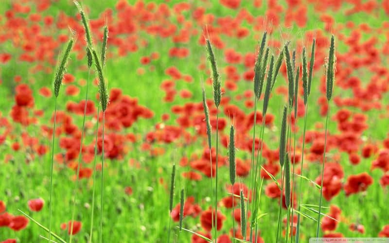 突然降温,好冷啊,搞笑文案_wishdown.com 突然降温,好冷啊,搞笑文案_wishdown.com