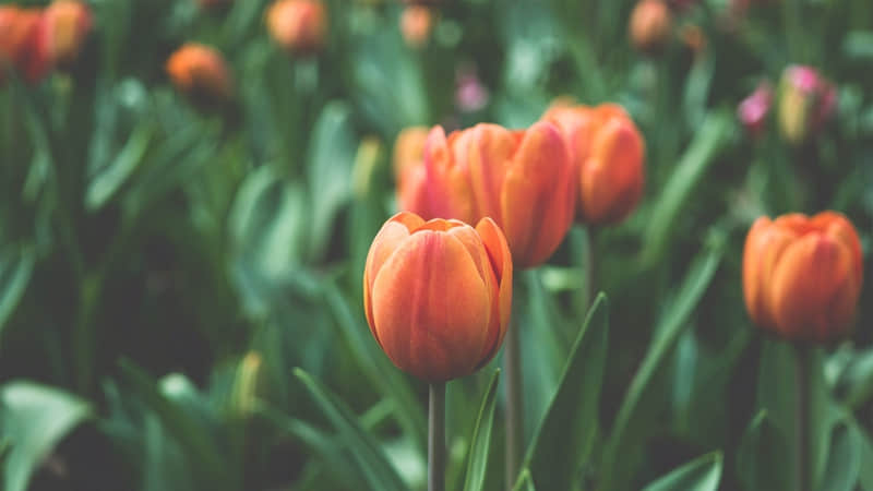 突然降温,好冷啊,搞笑文案_wishdown.com 突然降温,好冷啊,搞笑文案_wishdown.com