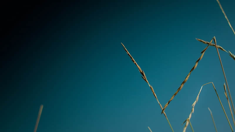 "抄一句吧,你的朋友圈会被翻烂!"_wishdown.com "抄一句吧,你的朋友圈会被翻烂!"_wishdown.com