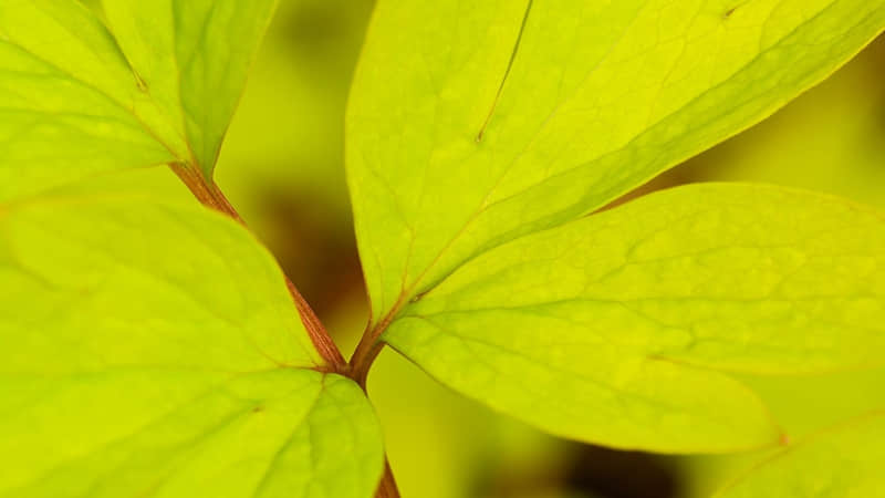 “拽拽的女人,就应该这么发圈”_wishdown.com “拽拽的女人,就应该这么发圈”_wishdown.com