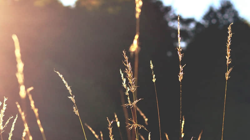 “拽拽的女人,就应该这么发圈”_wishdown.com “拽拽的女人,就应该这么发圈”_wishdown.com