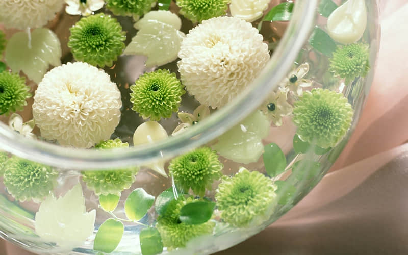 “对方说“嗯、哦、额”,一句话拿捏他”_wishdown.com “对方说“嗯、哦、额”,一句话拿捏他”_wishdown.com