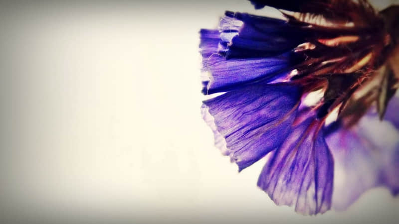 2?2?/??.?? ??СѩİȦ??? 