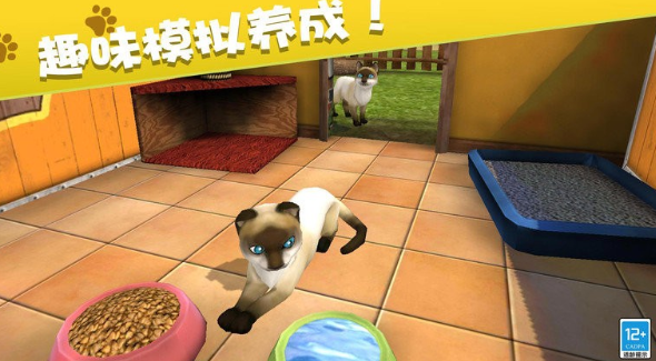 有哪些热门的动物世界游戏_wishdown.com 有哪些热门的动物世界游戏_wishdown.com