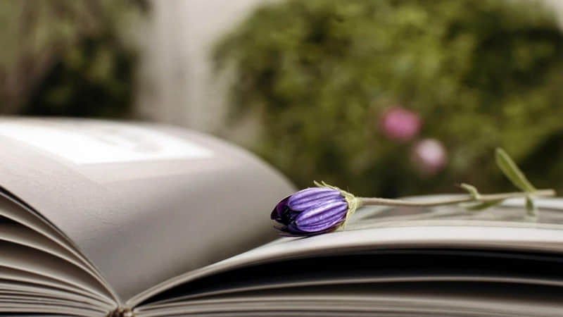 2?2?/??.????Сѩио~??