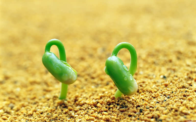 “22/.小雪这样发,好有感觉~”_wishdown.com “22/.小雪这样发,好有感觉~”_wishdown.com