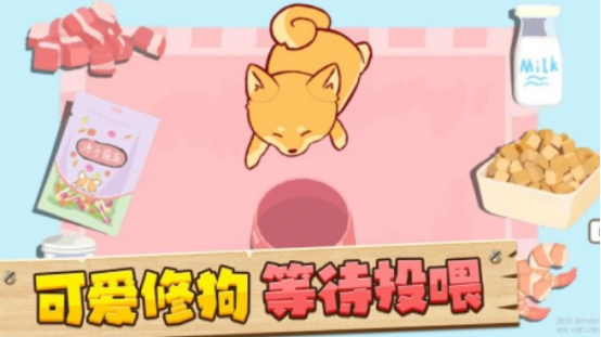 狗狗喜欢玩的十种游戏推荐_wishdown.com 狗狗喜欢玩的十种游戏推荐_wishdown.com