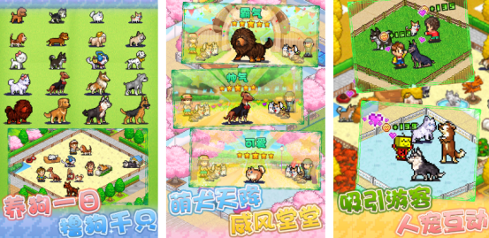 狗狗喜欢玩的十种游戏推荐_wishdown.com 狗狗喜欢玩的十种游戏推荐_wishdown.com