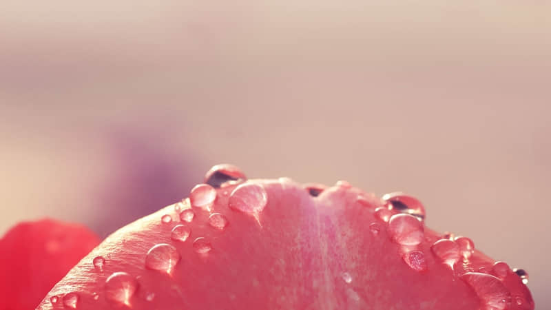 “11月22日小雪,发一条不一样的朋友圈”_wishdown.com “11月22日小雪,发一条不一样的朋友圈”_wishdown.com