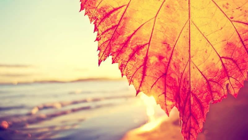 “11月22日小雪,发一条不一样的朋友圈”_wishdown.com “11月22日小雪,发一条不一样的朋友圈”_wishdown.com