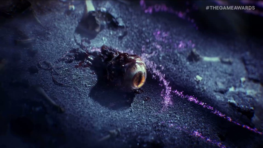 TGA 2025:《术士:龙与地下城》公布 2027年发售_wishdown.com TGA 2025:《术士:龙与地下城》公布 2027年发售_wishdown.com