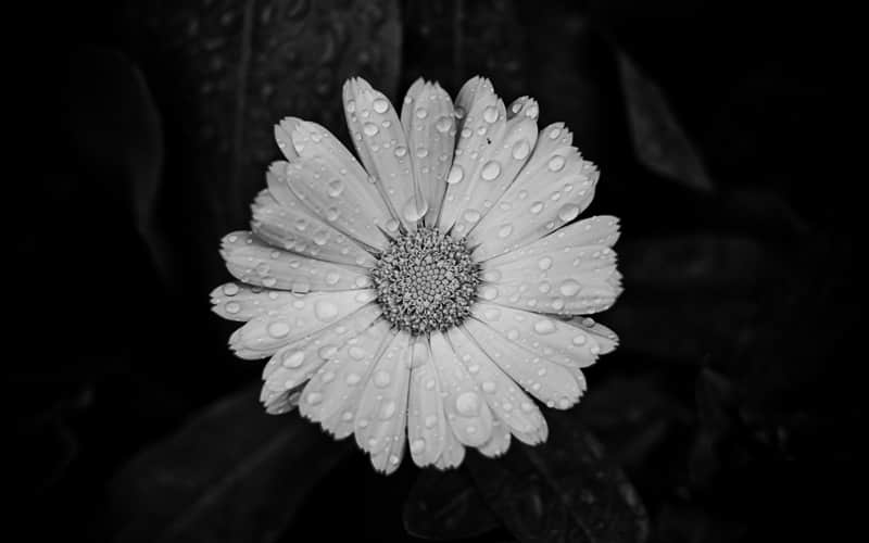 “祝我的人生搭子,生日快乐!”_wishdown.com “祝我的人生搭子,生日快乐!”_wishdown.com