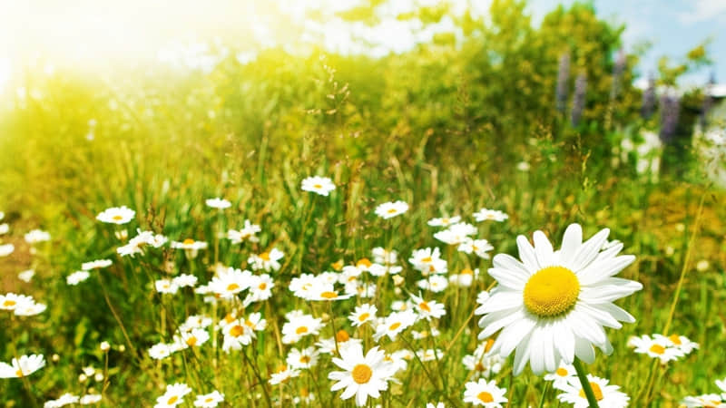 “藏好,赌你不敢发朋友圈的文案”_wishdown.com “藏好,赌你不敢发朋友圈的文案”_wishdown.com