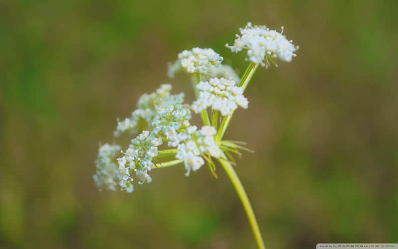 “藏好,赌你不敢发朋友圈的文案”_wishdown.com “藏好,赌你不敢发朋友圈的文案”_wishdown.com
