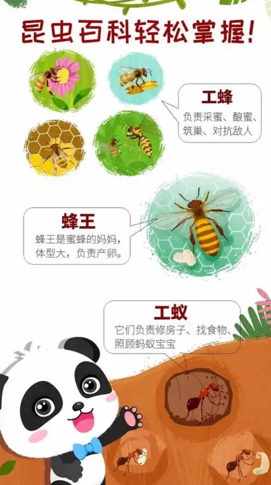 受欢迎的虫子游戏有哪些_wishdown.com 受欢迎的虫子游戏有哪些_wishdown.com