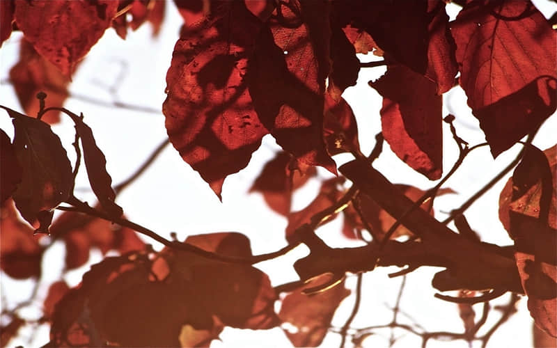 "选一句,笑得乳腺都通畅了"_wishdown.com "选一句,笑得乳腺都通畅了"_wishdown.com