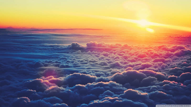 “抄下来,这才是成年人该发的朋友圈”_wishdown.com “抄下来,这才是成年人该发的朋友圈”_wishdown.com