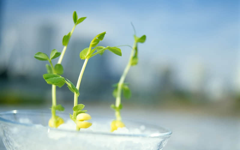 “ 高情商这么夸,他宠你到老 ”_wishdown.com “ 高情商这么夸,他宠你到老 ”_wishdown.com