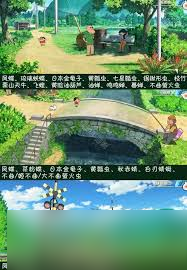 ����С��ú̿���С����������