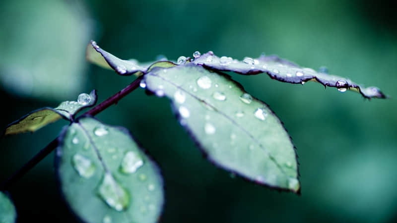 ������Ƣ����Ů�ˣ�����Ȧ����ô������