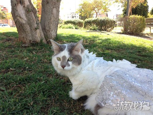 【游·见】专访Valhalla_wishdown.com 【游·见】专访Valhalla_wishdown.com