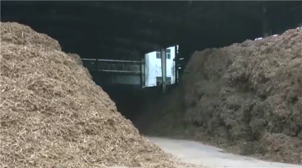 纯度高达99.9%!中国首个量产生物甲醇项目投产_wishdown.com 纯度高达99.9%!中国首个量产生物甲醇项目投产_wishdown.com