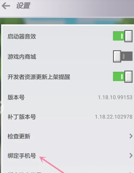 我的世界手机绑定怎么弄2026_wishdown.com 我的世界手机绑定怎么弄2026_wishdown.com