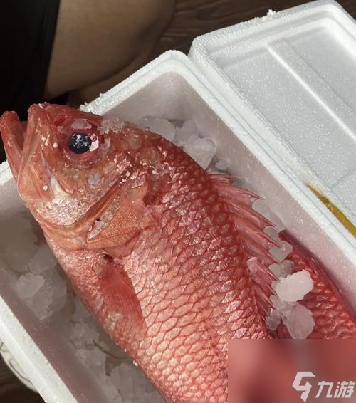 ��������ħ��plus����ô��ȡ