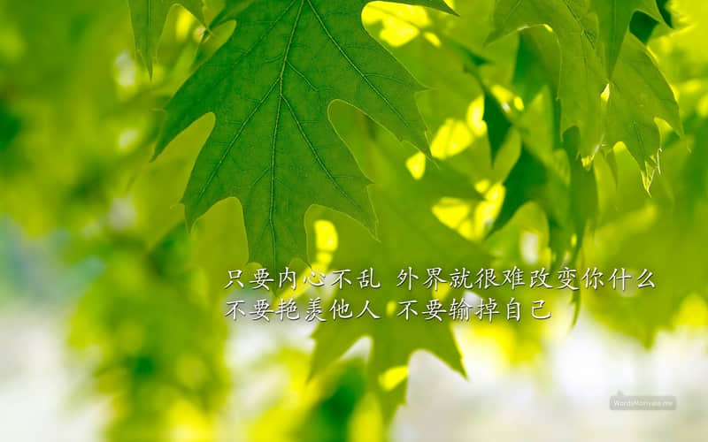 ���������ˣ���³Ѹ�Ļ���ô���??