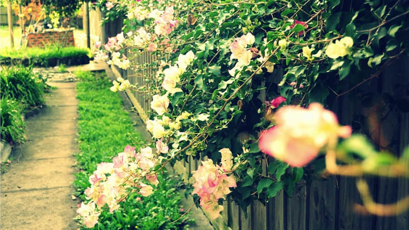 ����λ����ʺ��κι�ϵ~��??