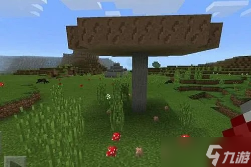 �ҵ��������Ģ����ô�� ������ֲָ���뼼��ȫ����