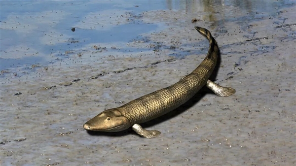 ����Ľ�ֺͷ������ɶ�ã���һ��û��Ƕ�һ��ã�