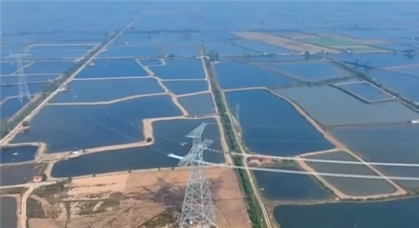 �ҹ��׸������ظ�ԭ�����ظ�ѹ���̽���Ͷ�� �������1900����