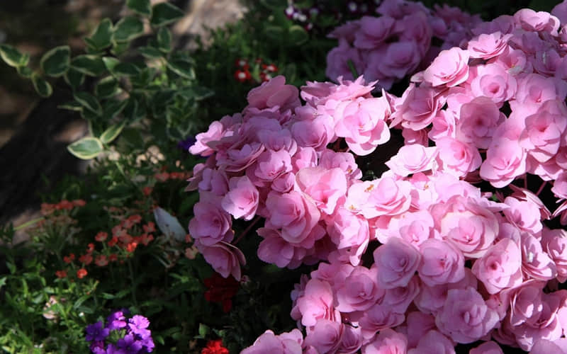 ����������'������'��??????????