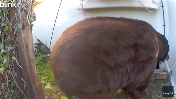 �������ӵ����Ҿ��־��� ����ֻ��Ӳ�� �����ǲ���