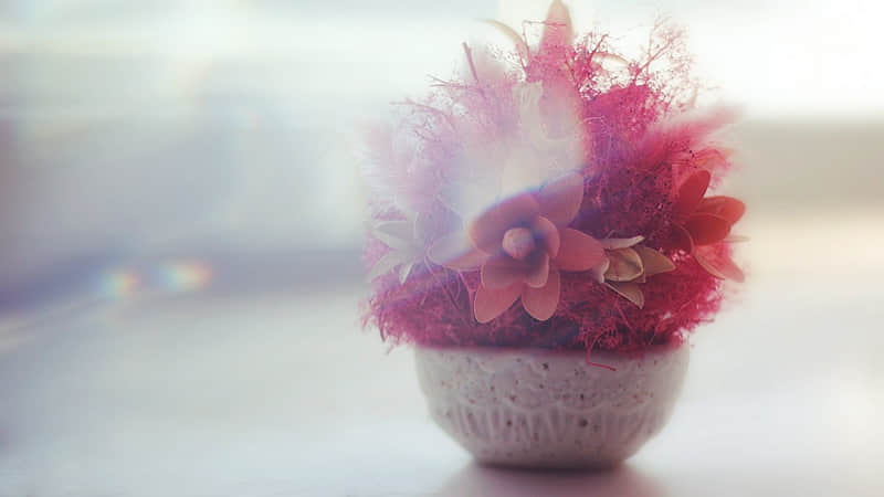 "拾一条,笑得乳腺都通畅了"_wishdown.com "拾一条,笑得乳腺都通畅了"_wishdown.com