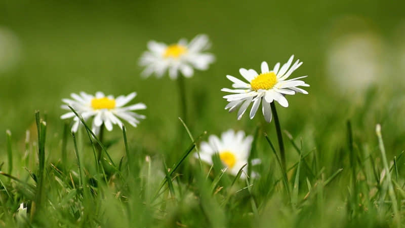 "拾一条,笑得乳腺都通畅了"_wishdown.com "拾一条,笑得乳腺都通畅了"_wishdown.com