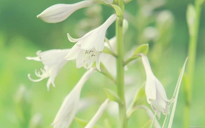 关于爱的26种感觉,看到第3条就破防了_wishdown.com 关于爱的26种感觉,看到第3条就破防了_wishdown.com