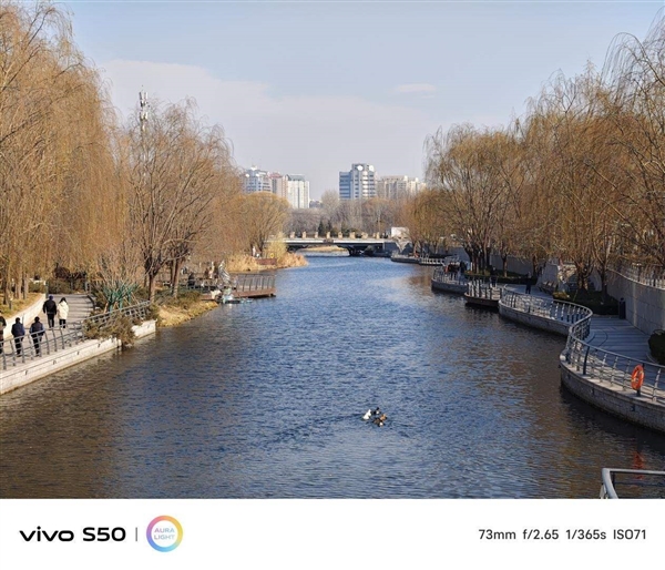 谁说标准版就得妥协 vivo S50全面上手体验_wishdown.com 谁说标准版就得妥协 vivo S50全面上手体验_wishdown.com