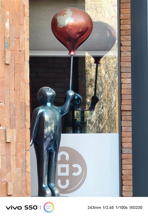 谁说标准版就得妥协 vivo S50全面上手体验_wishdown.com 谁说标准版就得妥协 vivo S50全面上手体验_wishdown.com