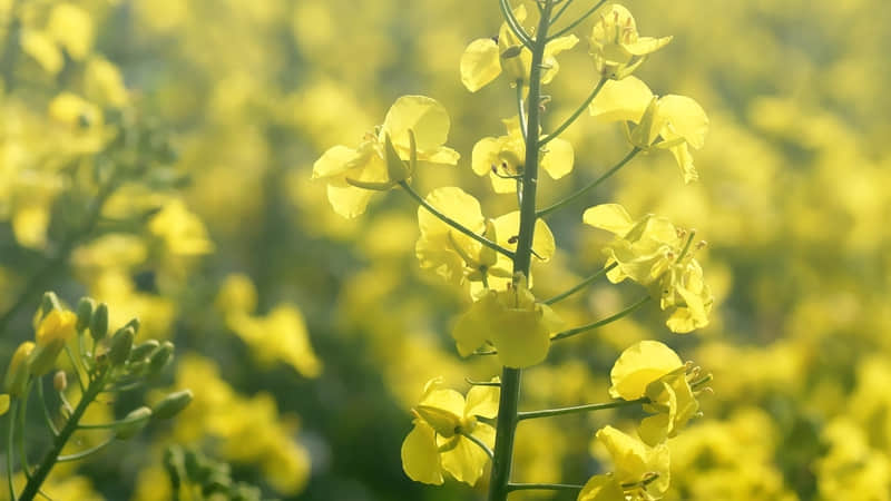 “2?2?/??.??11月最后3天,发现一条不一样的朋友圈”_wishdown.com “2?2?/??.??11月最后3天,发现一条不一样的朋友圈”_wishdown.com