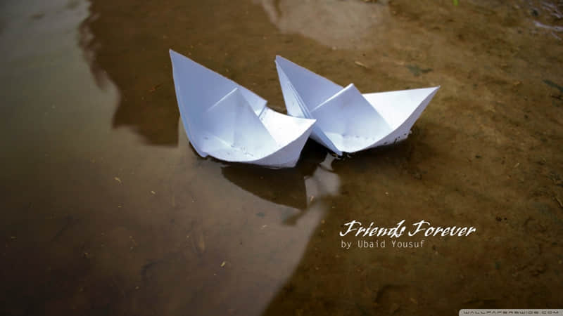 “2?2?/??.??11月最后3天,发现一条不一样的朋友圈”_wishdown.com “2?2?/??.??11月最后3天,发现一条不一样的朋友圈”_wishdown.com